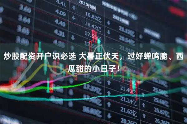炒股配资开户识必选 大暑正伏天，过好蝉鸣脆、西瓜甜的小日子！