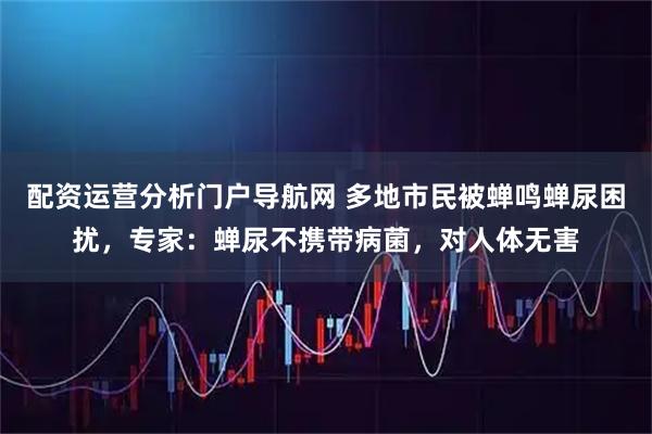 配资运营分析门户导航网 多地市民被蝉鸣蝉尿困扰，专家：蝉尿不携带病菌，对人体无害